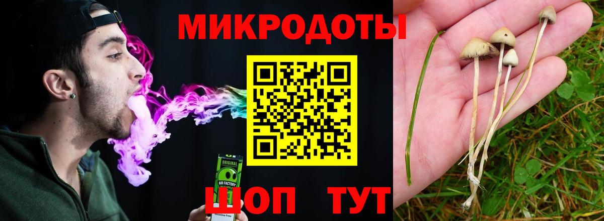 Ипатово  Псилоцибиновые грибы прущие грибы  Вход с VPN  Галлюциногенные грибы прущие грибы 